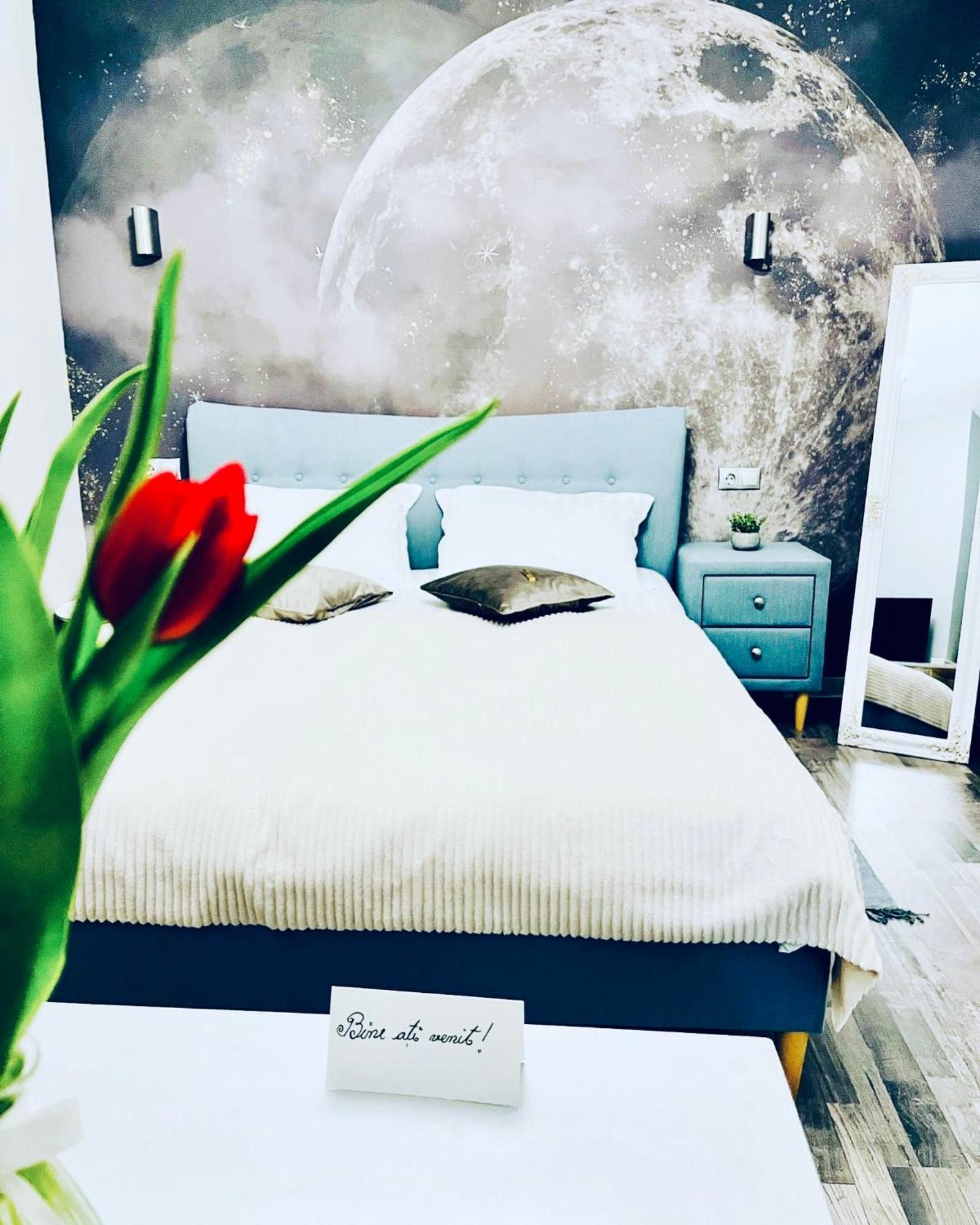 Moon And Sun Apartments シビウ エクステリア 写真