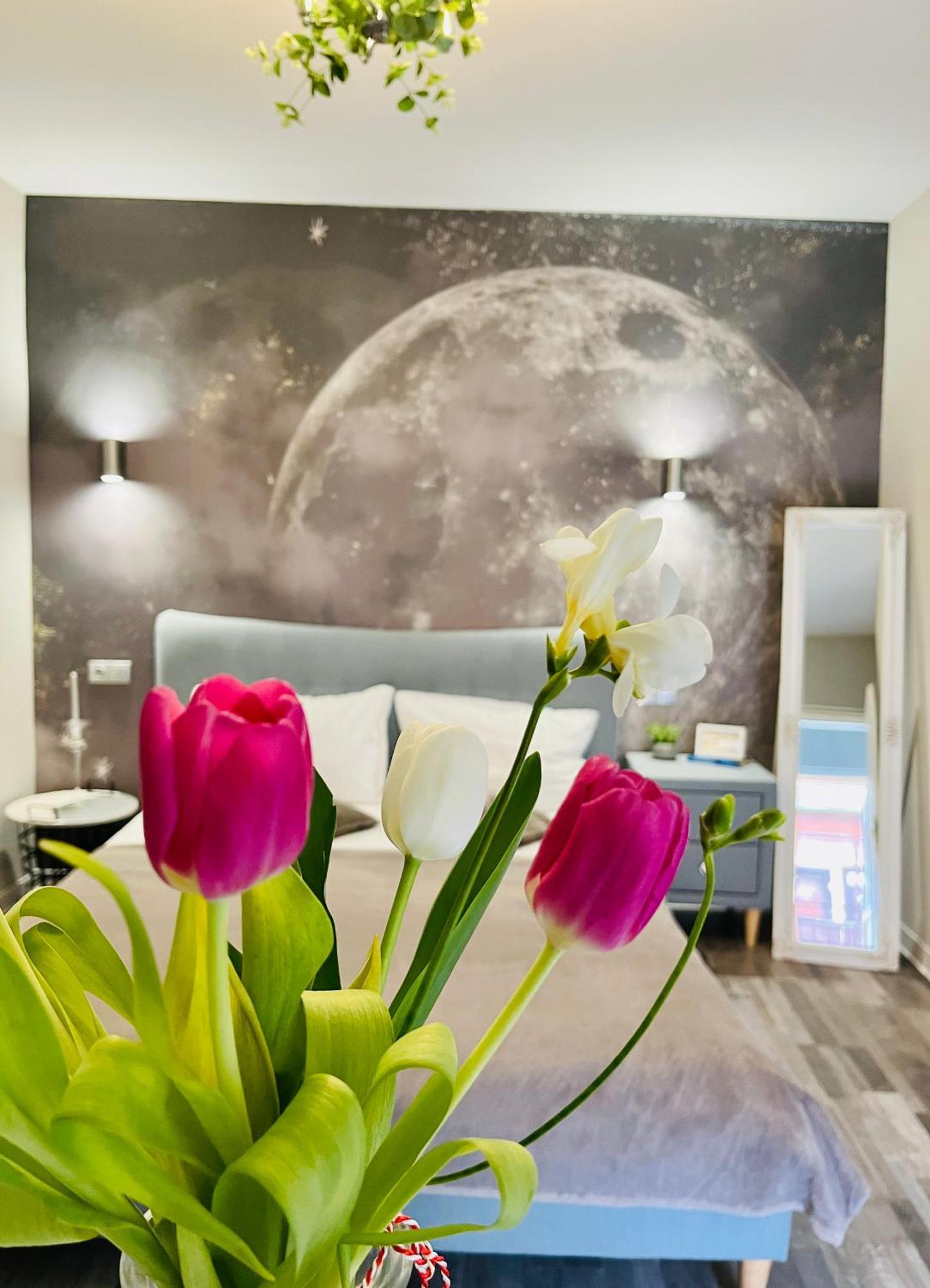 Moon And Sun Apartments シビウ エクステリア 写真